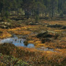 Høgkjølen Fjellcamp