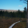 Høgkjølen Fjellcamp