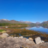 Fjordbotn Camping