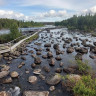 Slagnäs Camping @ Stugby AB