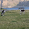 Nordkapp Camping AS