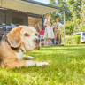 Kur- und Feriencamping Holmernhof Dreiquellenbad - Großzügige Standplätze