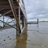 Campingplatz Krautsand am Elbstrand