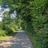 Naturcampingplatz Wrohe am Westensee