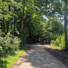 Naturcampingplatz Wrohe am Westensee