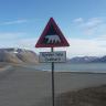 Longyearbyen Camping