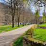 Campingplatz Altschmiede