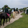 Campingplatz und Reitpark Brockmühle