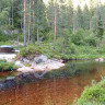 Håvestøl NaturCamp 