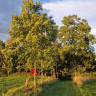 Waldseehof Ahlefeld