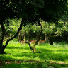 Waldseehof Ahlefeld