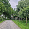 Waldseehof Ahlefeld