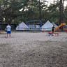 Camp Bursztynowy Las