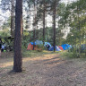 Wald- & Naturcampingplatz am Tonsee Süd