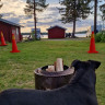 Lappland Camping Moskosel