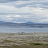 Børselv Stranden