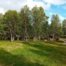 Ränningvallen