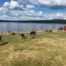 Lappland Camping Moskosel